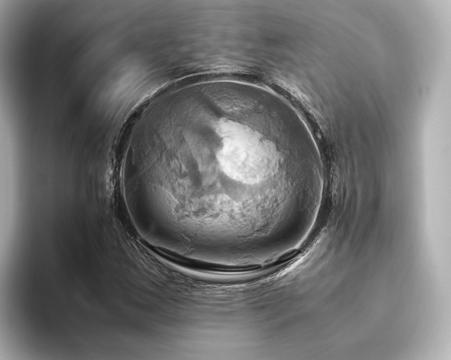 X0000093611163200710151234