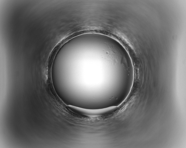 X0000093611165200710151234