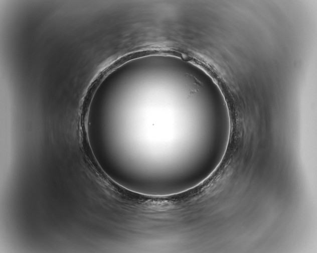 X0000093611168200710151234