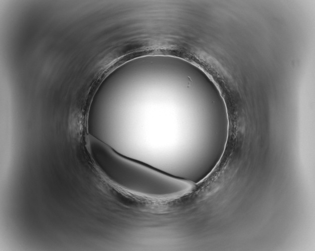 X0000093611169200710151234