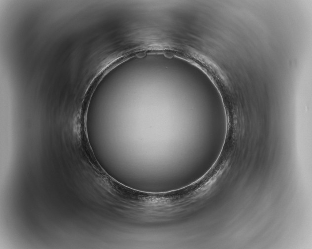 X0000093611170200710151234