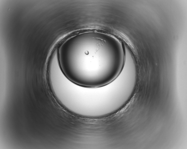 X0000093611172200710151234