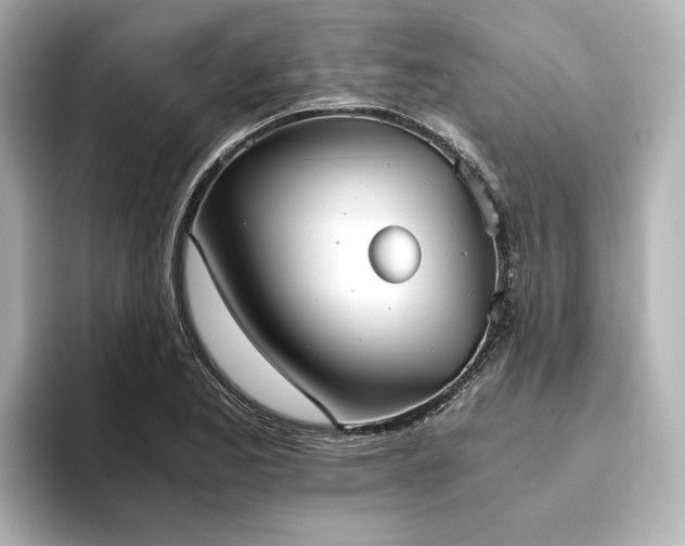 X0000093611173200710151234