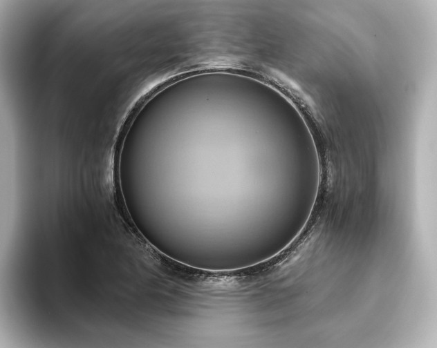 X0000093611174200710151234