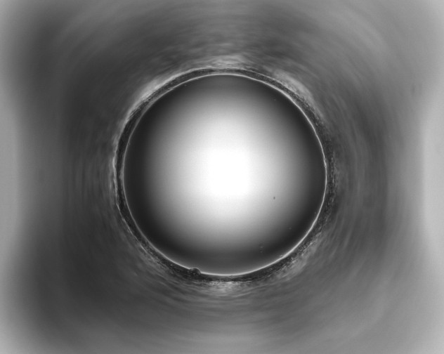 X0000093611176200710151234