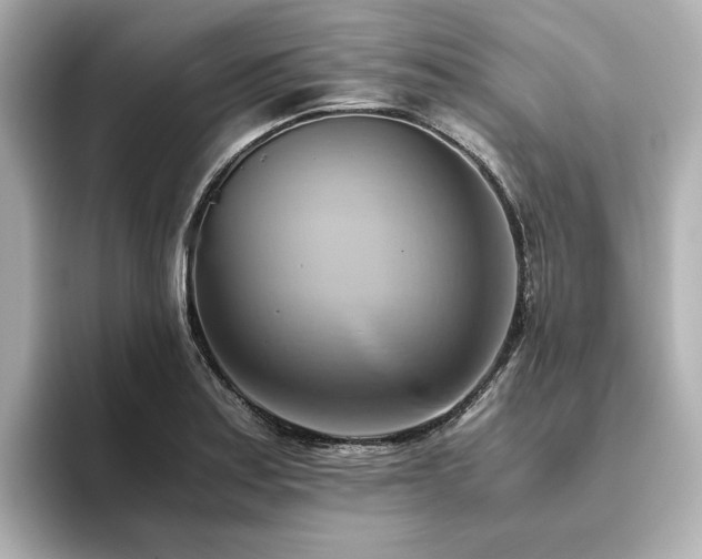 X0000093611179200710151234