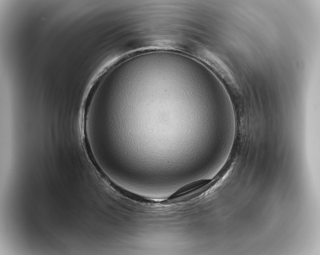 X0000093611180200710151233