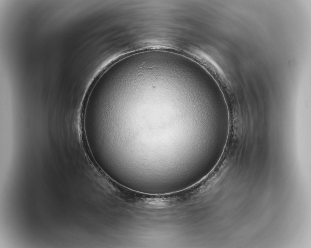 X0000093611182200710151233