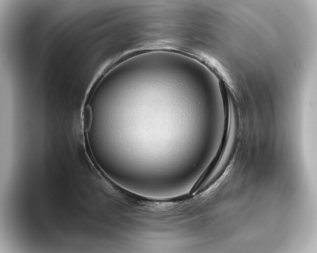 X0000093611184200710151233