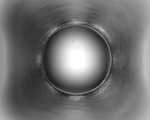 X0000093611185200710151233