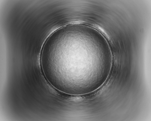 X0000093611186200710151233