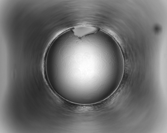 X0000093611187200710151233