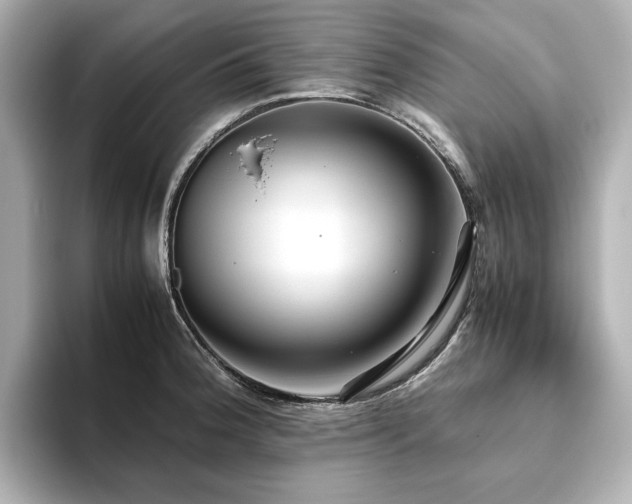 X0000093611188200710151233