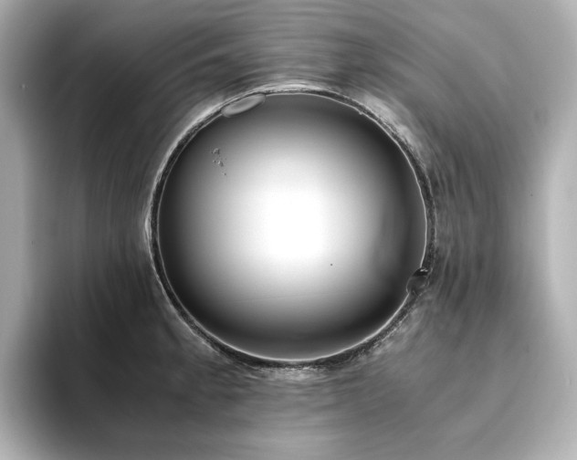 X0000093611189200710151233