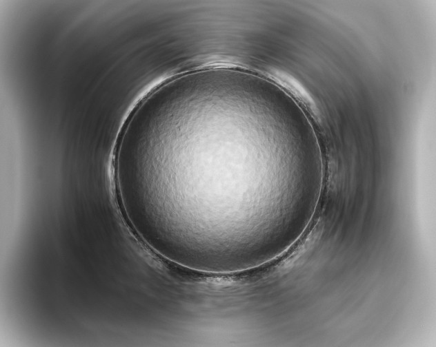 X0000093611190200710151233