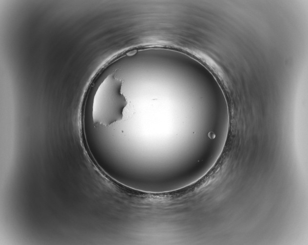 X0000093611191200710151233