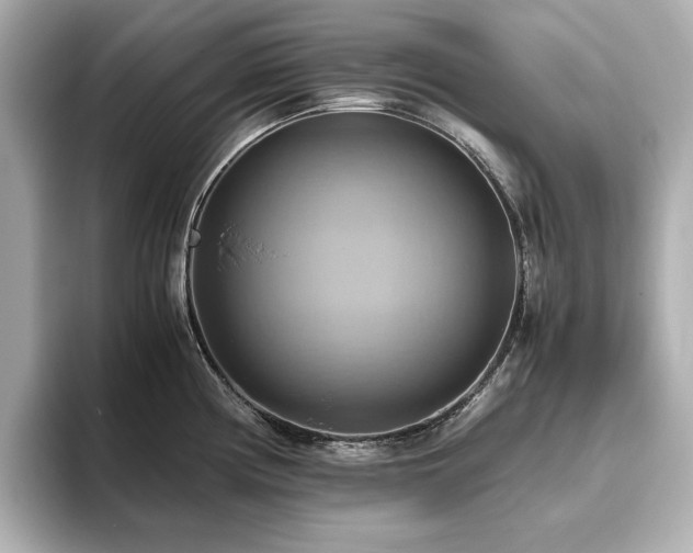 X0000093611194200710151233