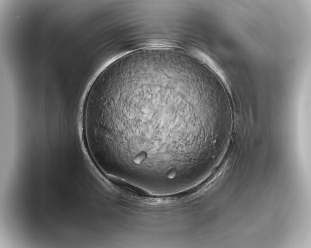 X0000093611195200710151233