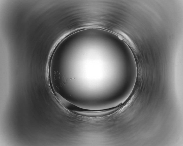 X0000093611196200710151233
