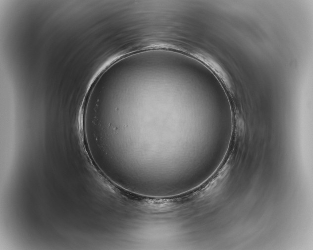 X0000093611198200710151233