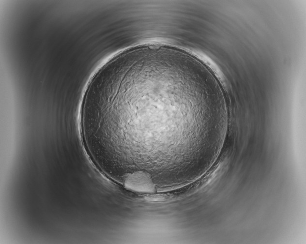 X0000093611199200710151233