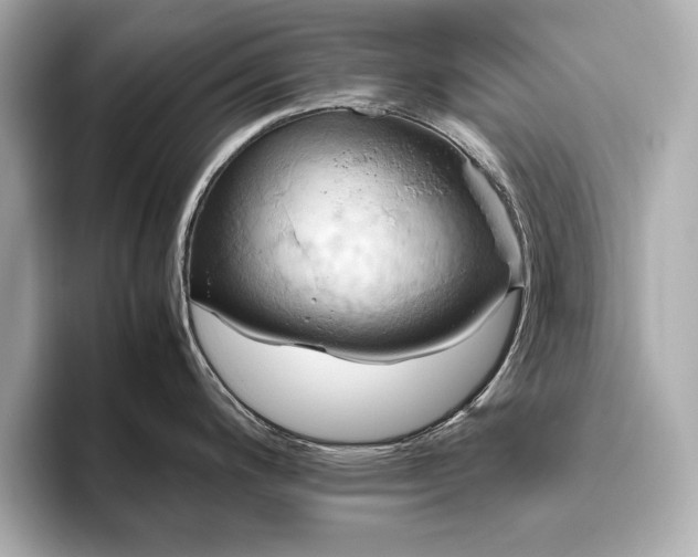 X0000093611200200710151233
