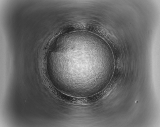 X0000093611201200710151233