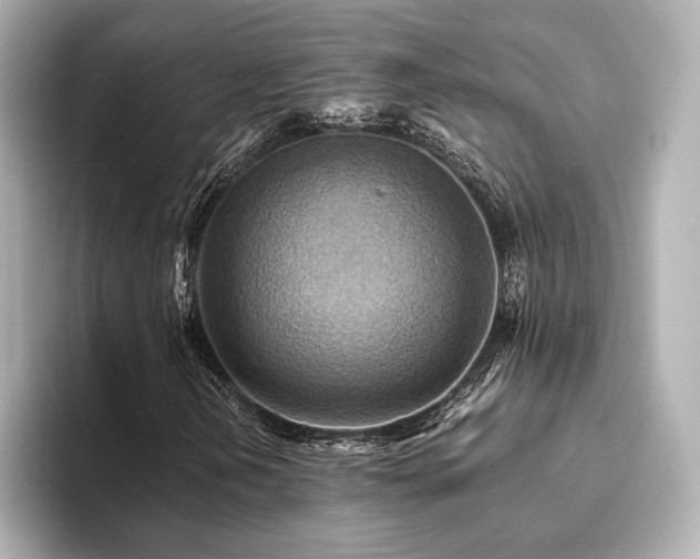 X0000093611202200710151233