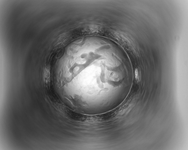 X0000093611203200710151233
