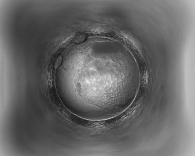 X0000093611205200710151233