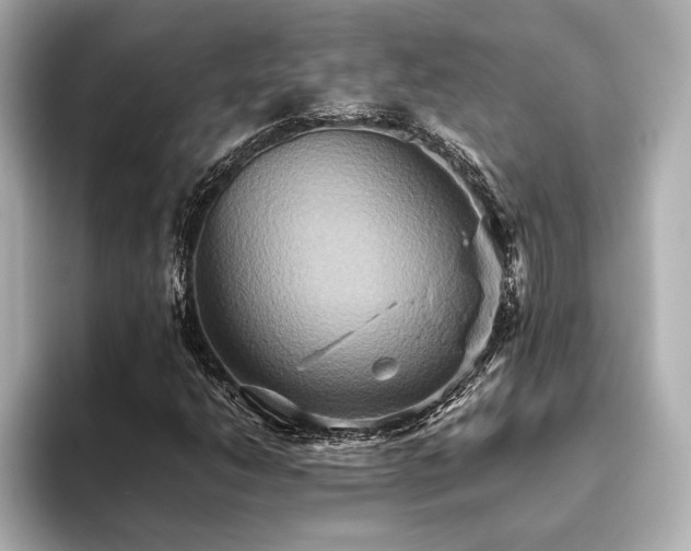 X0000093611206200710151233