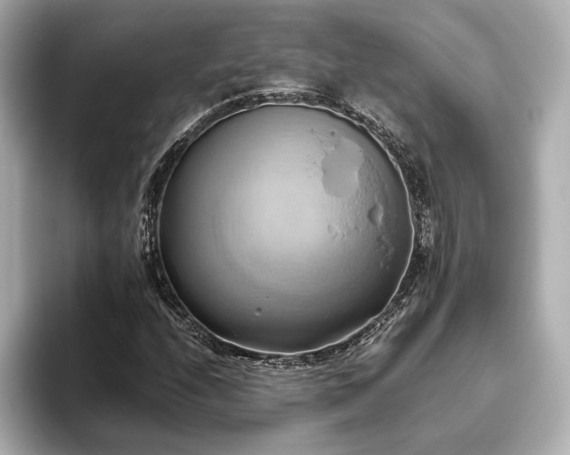 X0000093611208200710151233