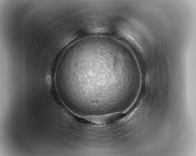 X0000093611209200710151233