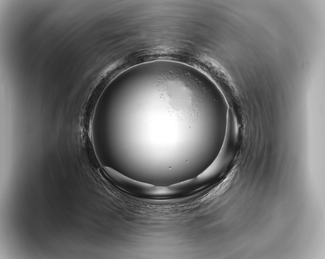 X0000093611210200710151233
