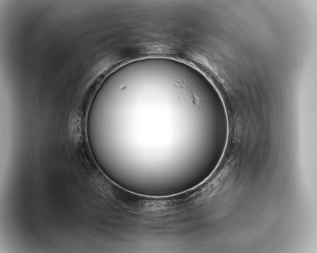 X0000093611211200710151233
