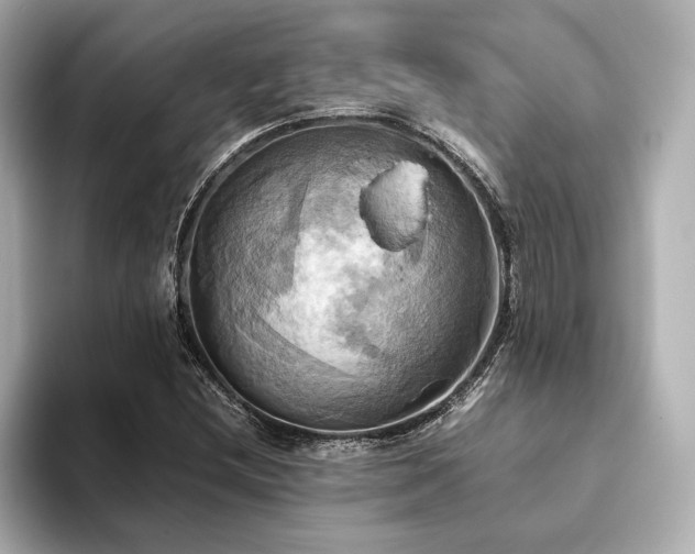 X0000093611212200710151233