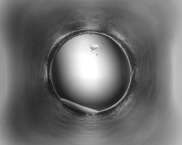 X0000093611214200710151233