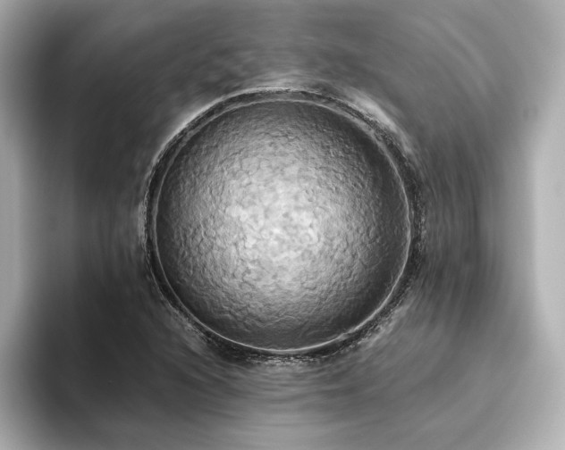X0000093611216200710151233