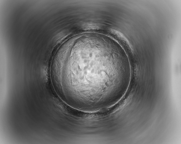 X0000093611217200710151233