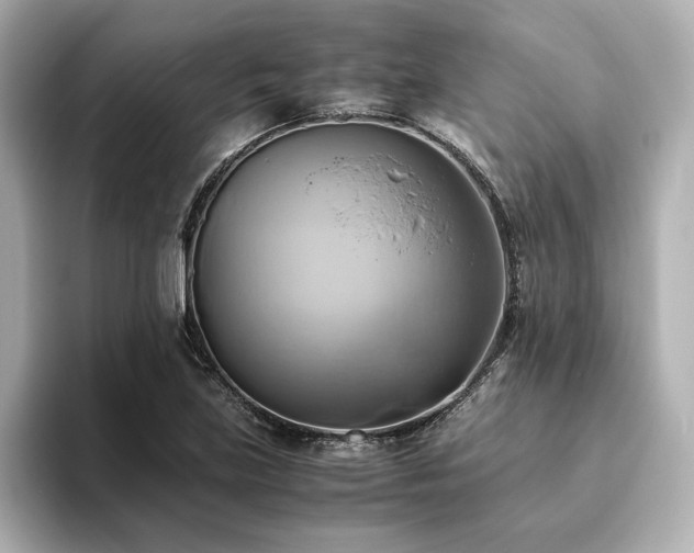 X0000093611219200710151233