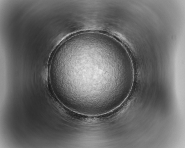 X0000093611220200710151233