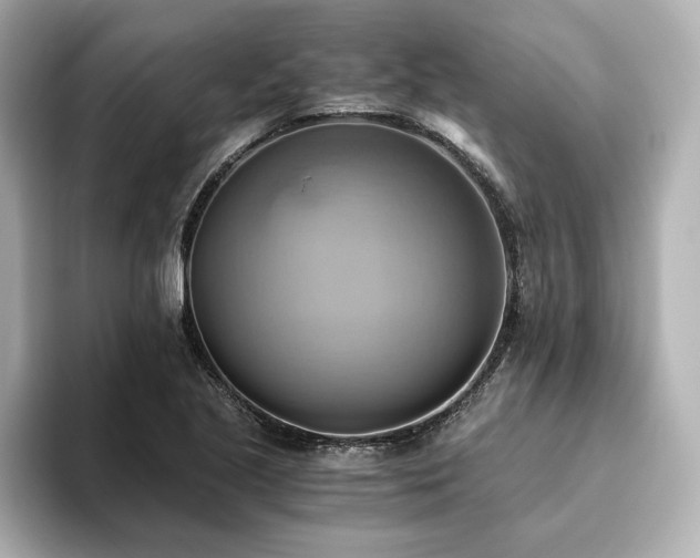 X0000093611221200710151233