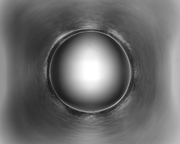 X0000093611222200710151233