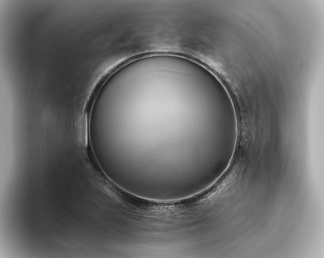 X0000093611223200710151233