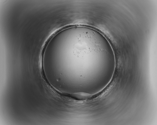 X0000093611224200710151233