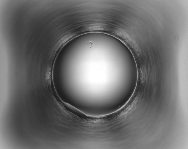 X0000093611225200710151233