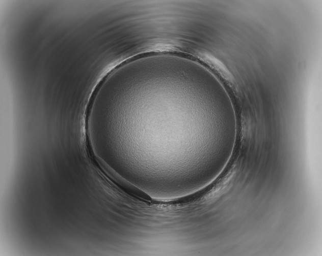 X0000093611226200710151233