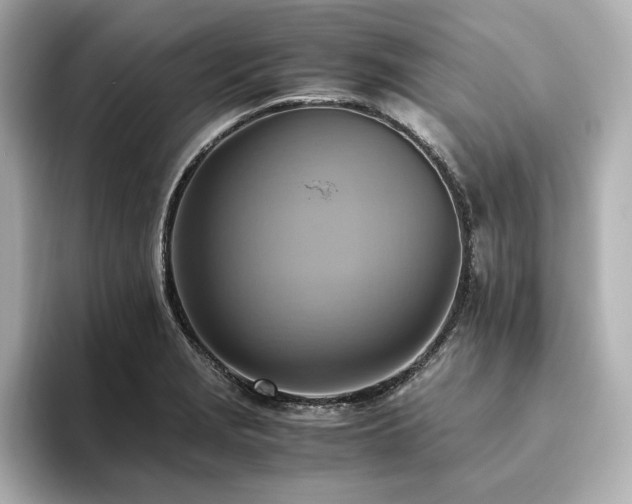 X0000093611229200710151233
