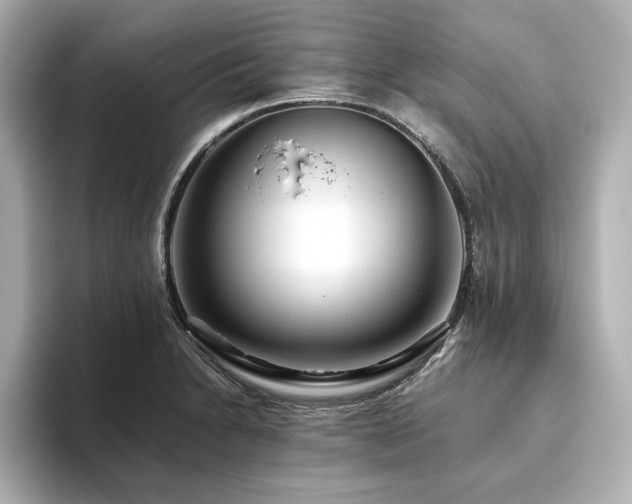 X0000093611230200710151233