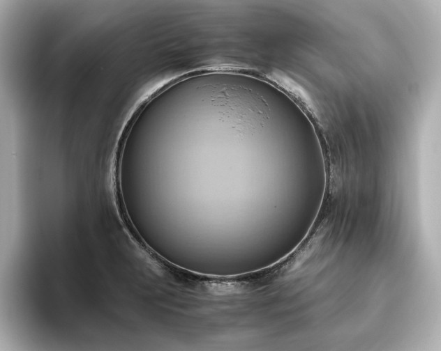 X0000093611231200710151233